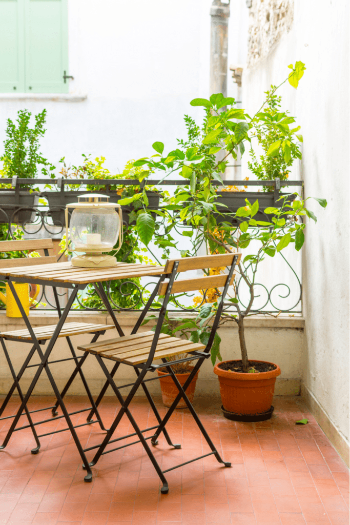 A Beginner's Guide to Balcony Privacy Plants - Balcony Boss