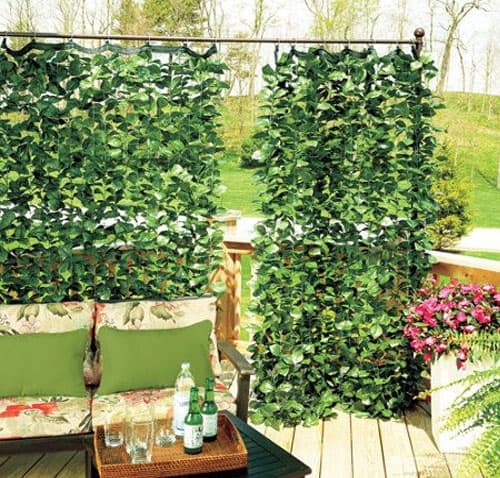 Ivy curtains