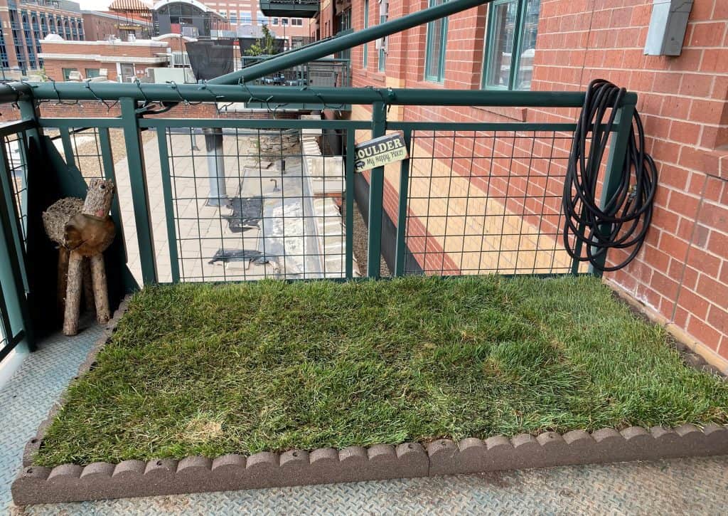 DIY balcony dog potty real grass