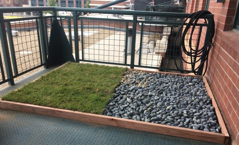 Outdoor DIY Balcony Dog Potty
