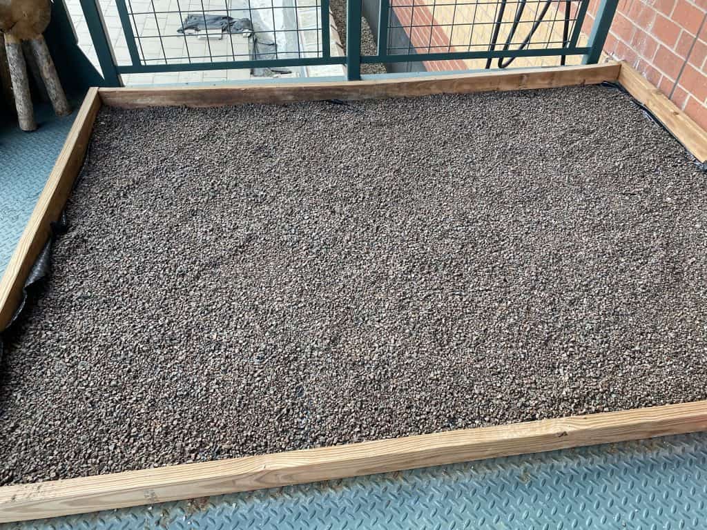 DIY dog potty with gravel