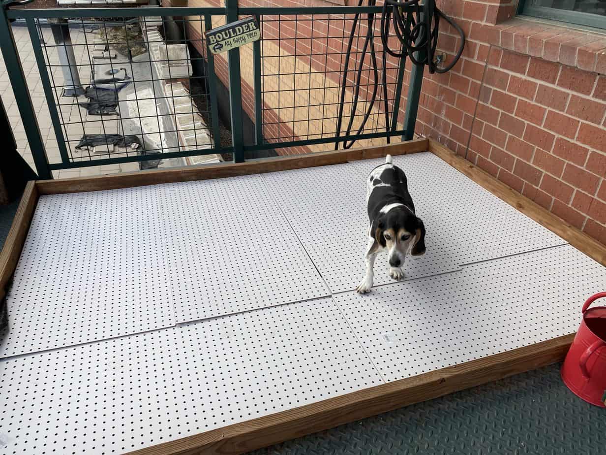 Easy Build DIY Balcony Dog Potty Areas with Real Grass - Balcony Boss