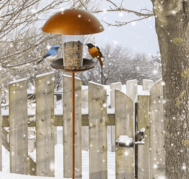 balcony bird feeder