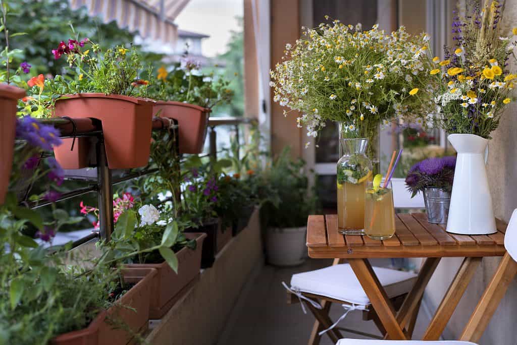 How to Create and Maintain a Balcony Herb Garden Balcony Boss