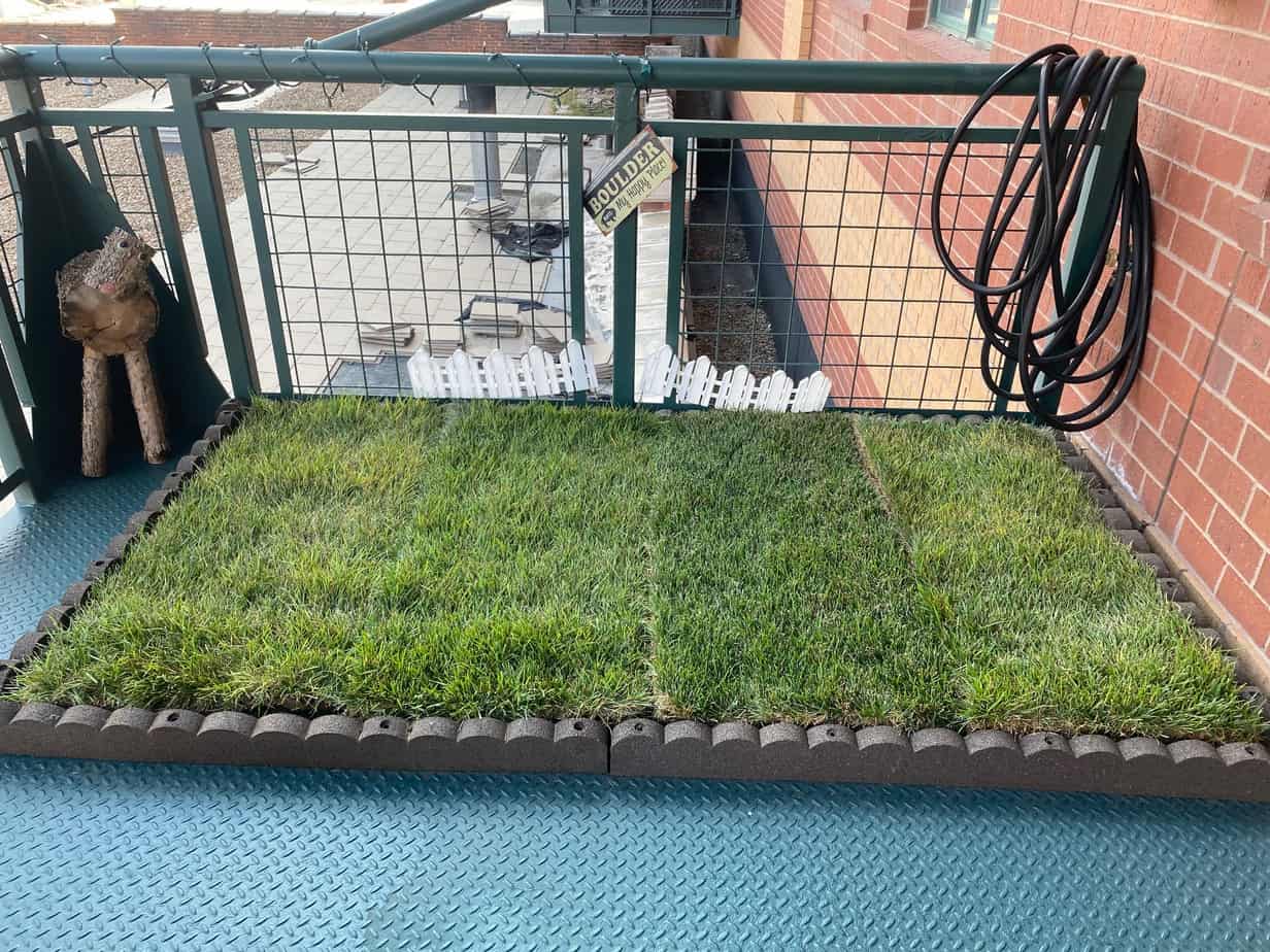 real grass on a balcony