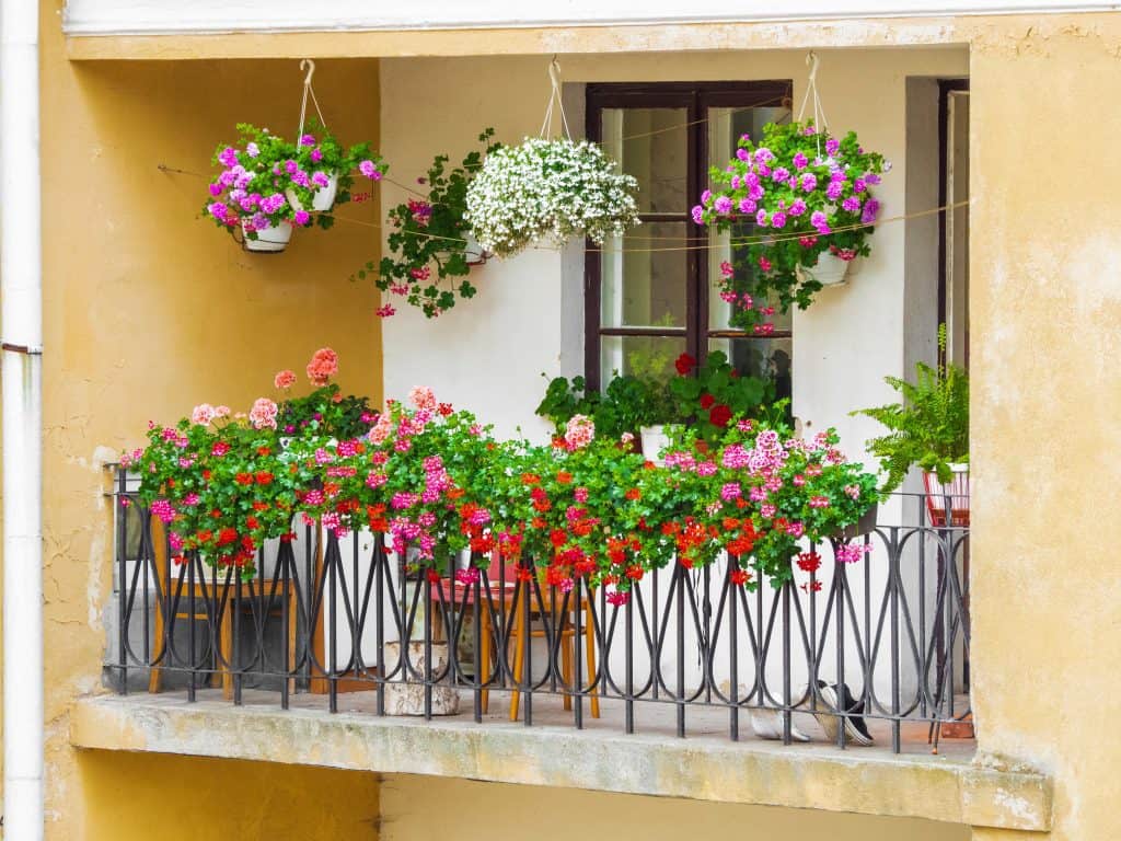 balcony flower garden