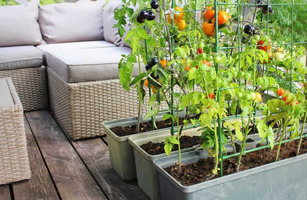 balcony vegetable garden ideas