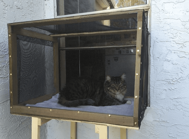 glass cat window box