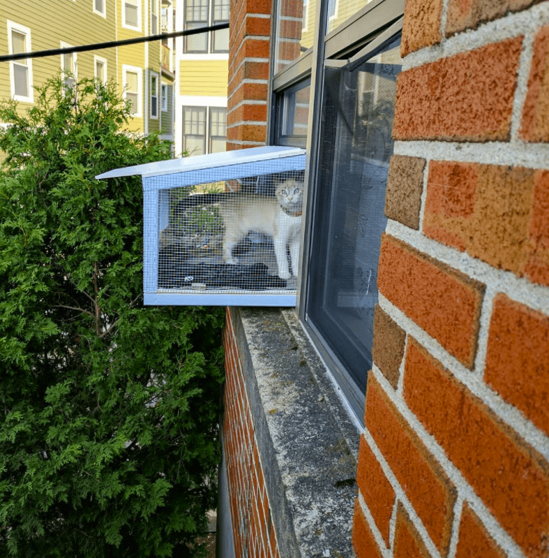 Cat window outlet cage