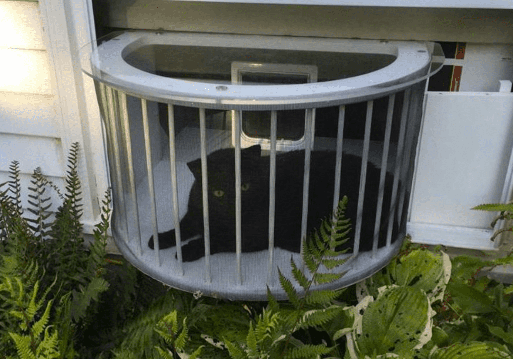 Cat window box outlet plexiglass