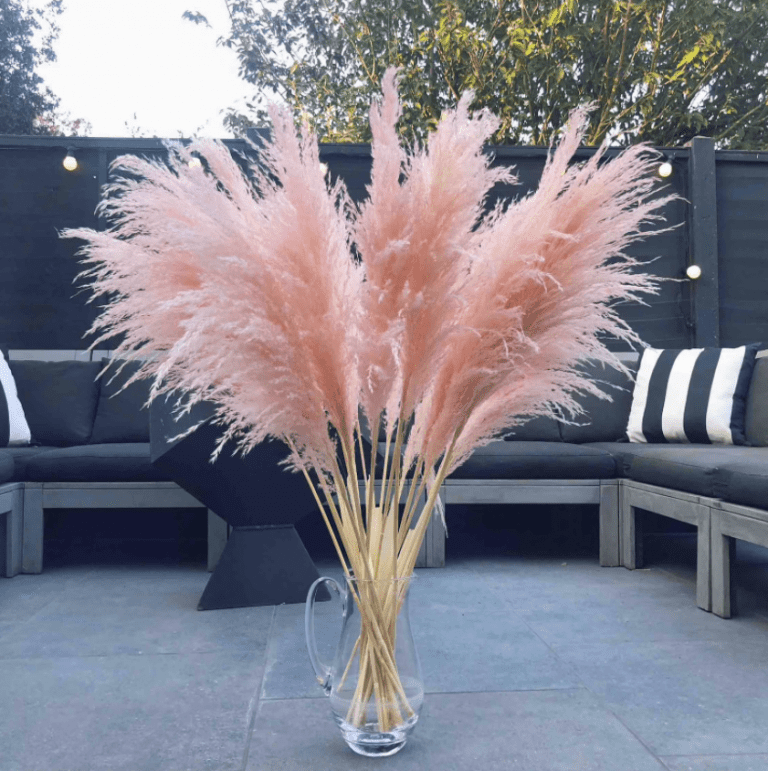 12 Ways to Use Pampas Grass in Your Outdoor Space Balcony Boss