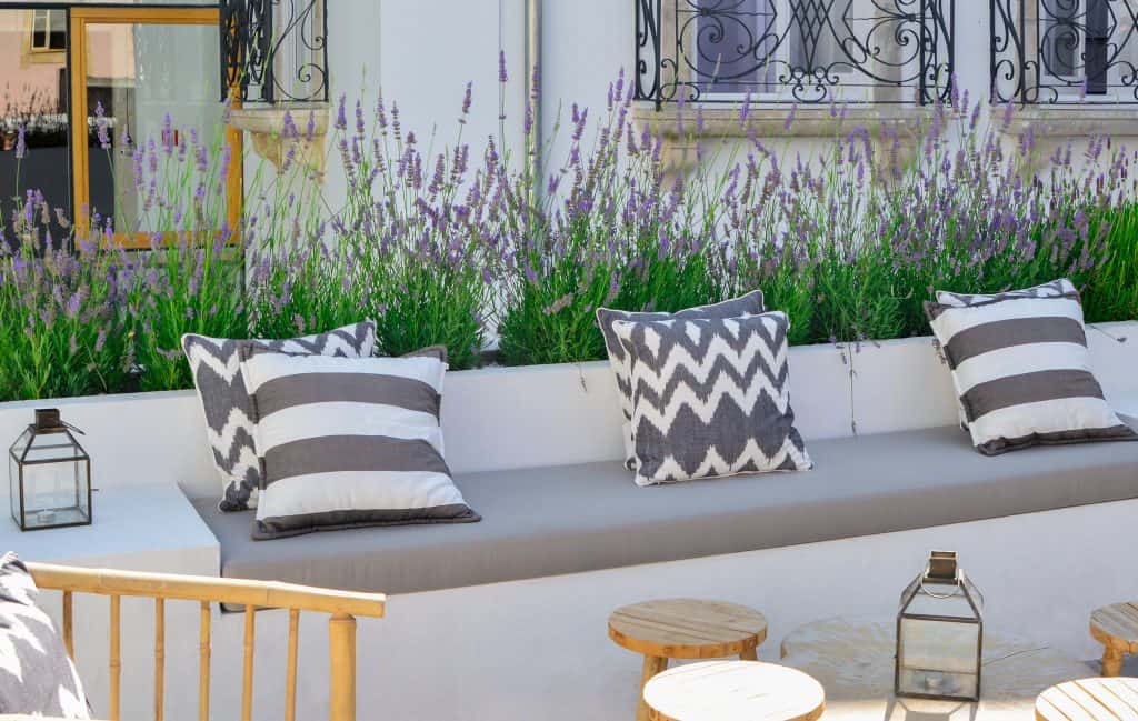 lavender growing on a balcony that is also acting as a privacy screen