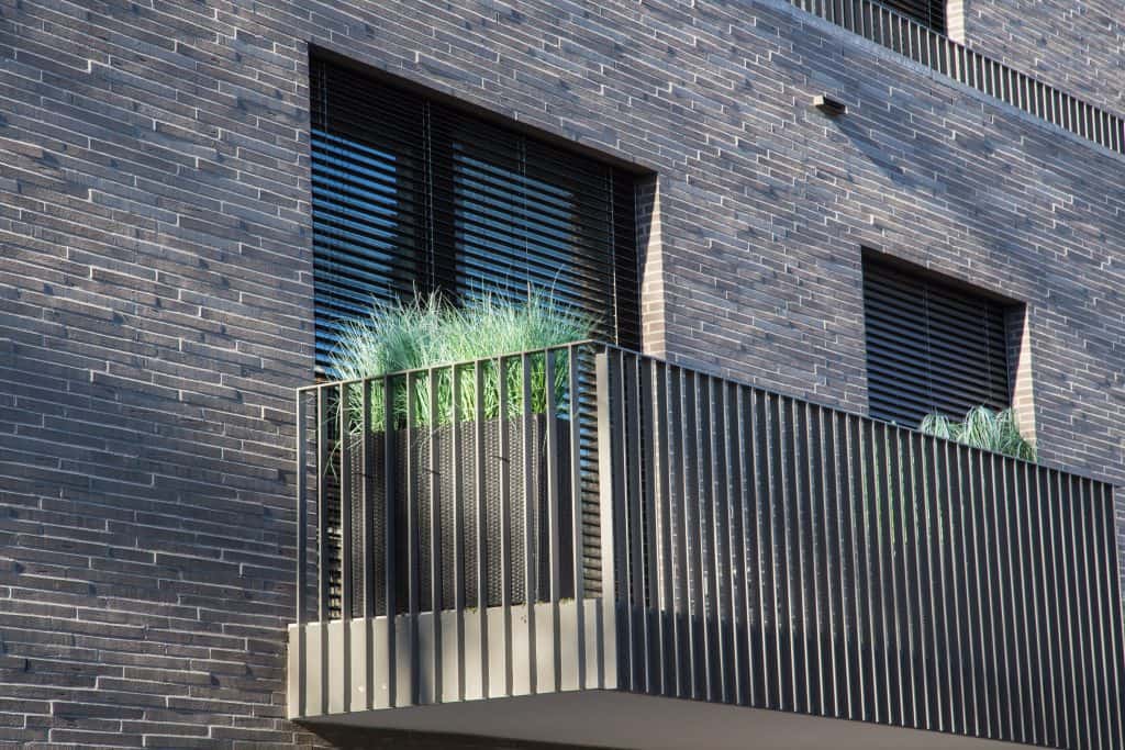 pampas grass on a balcony for privacy