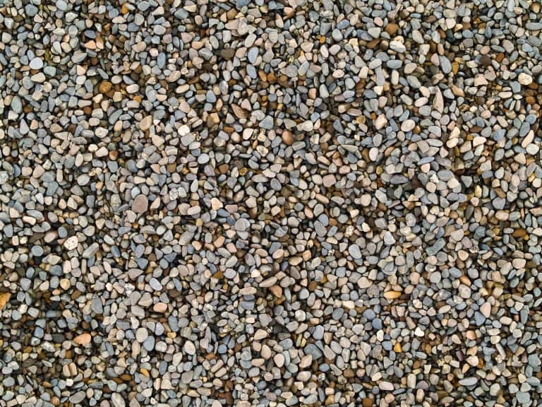 How to Build a Simple DIY Pea Gravel Dog Potty
