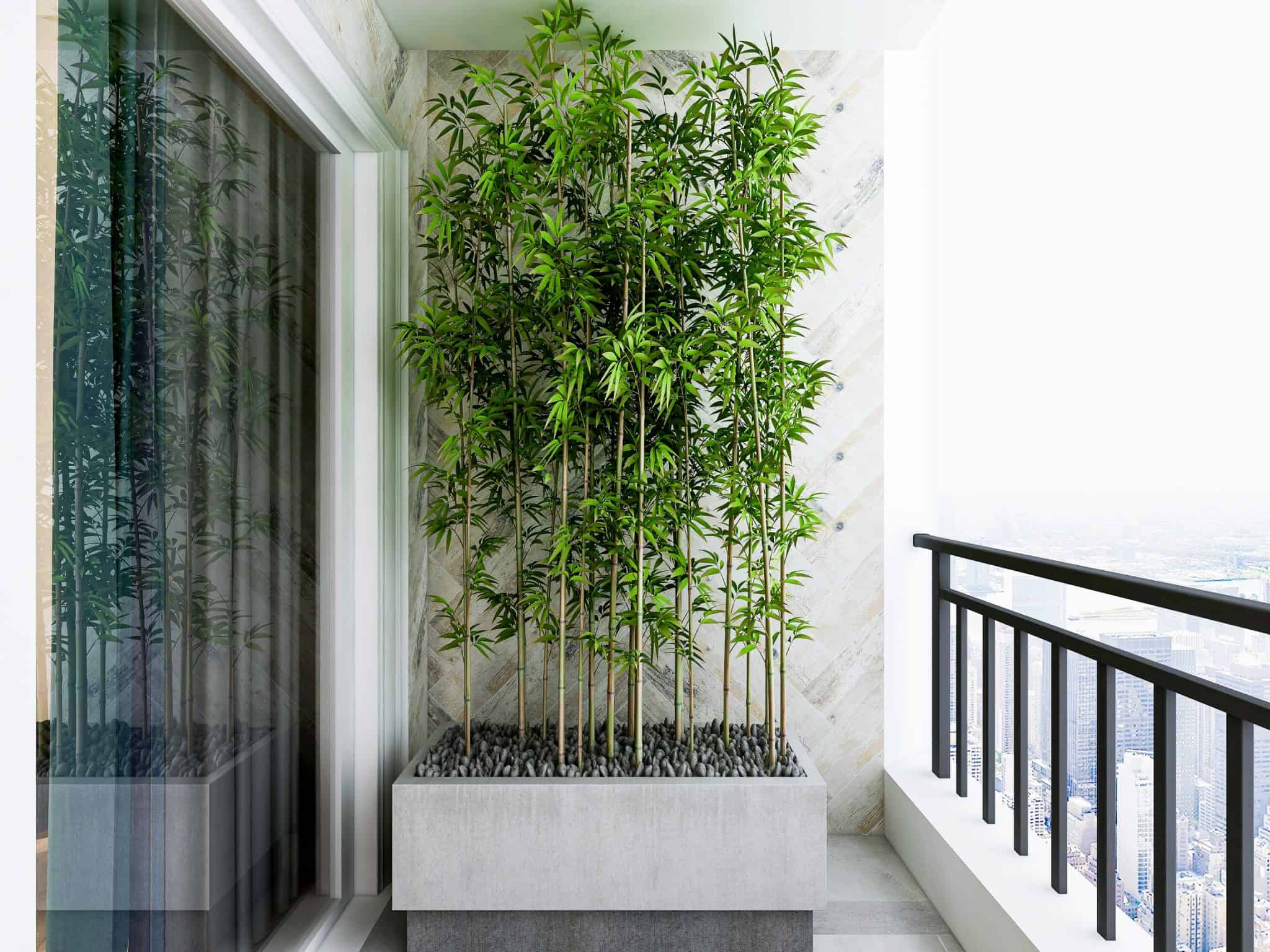 How to Make an Apartment Balcony Private Privacy Ideas Balcony Boss