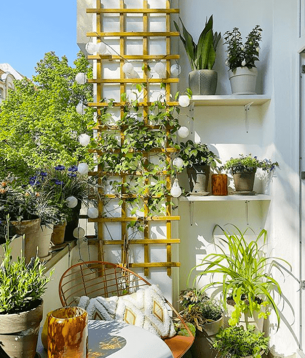 trellis decorating a balcony