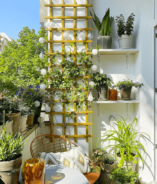 Climbing Garden