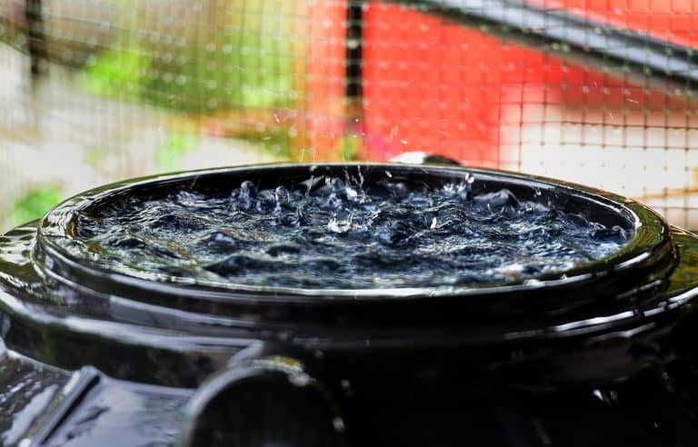 How to Collect Rainwater on a Balcony (and Why)