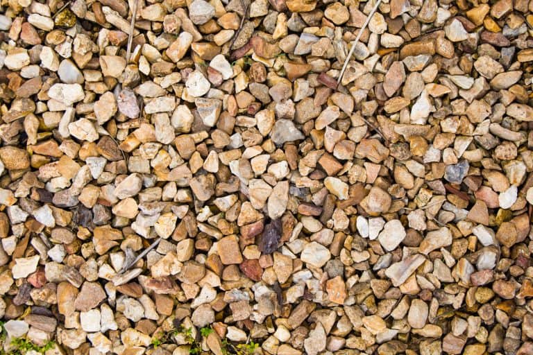 DIY Pea Gravel Dog Potty Area (with Drainage)