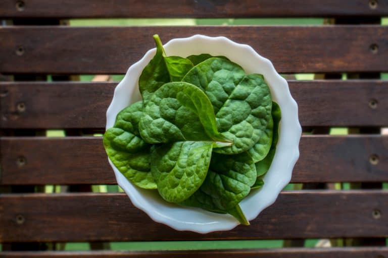 How to Grow Spinach on a Balcony