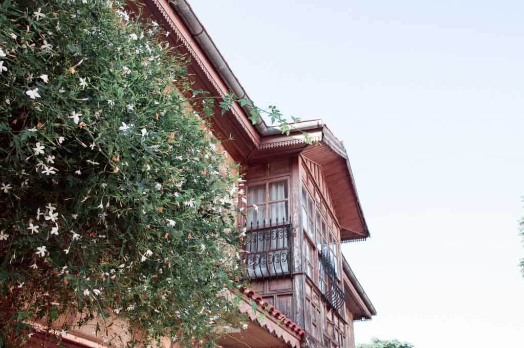 jasmine as a balcony privacy plant