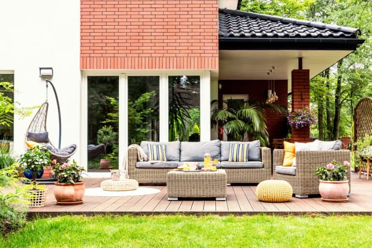 Best Grass Seed for Small Spaces