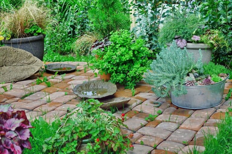 5 Unique Rainscaping Ideas for Your Outdoor Space