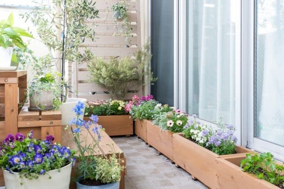 balcony planters