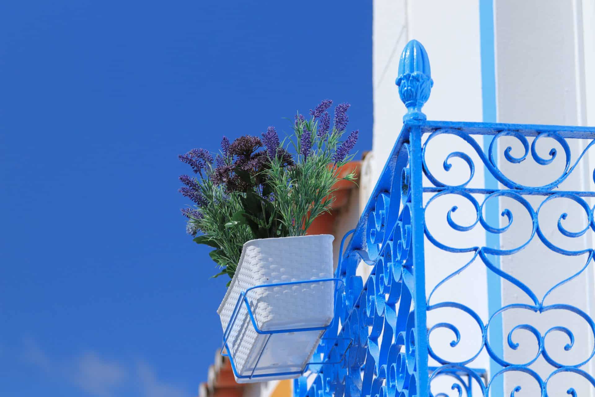 How to Cat Proof a Balcony (11 Solutions) Balcony Boss