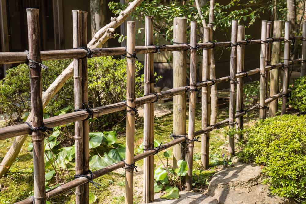 trellis style bamboo fence
