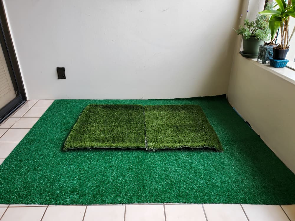 artificial grass dog potty