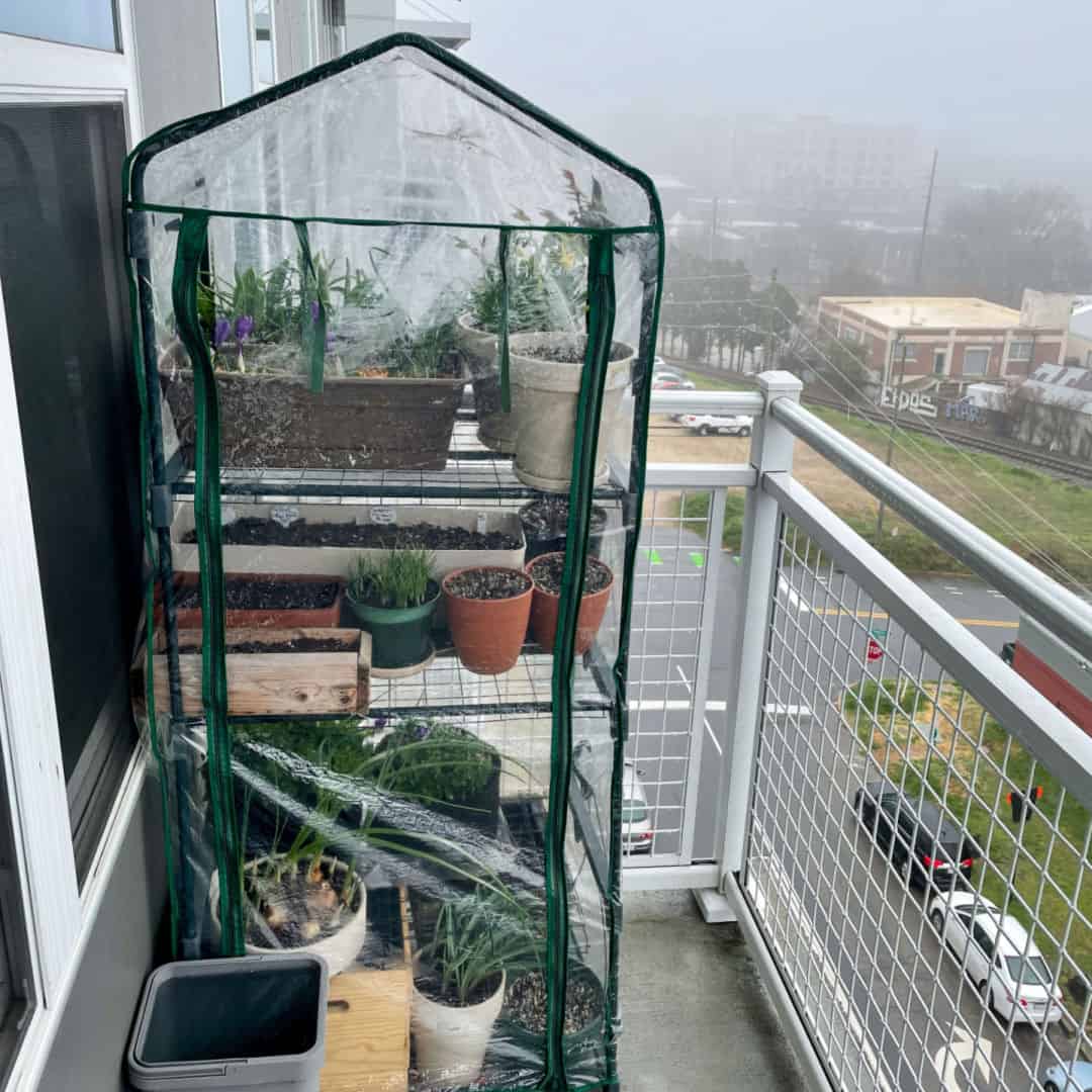 balcony greenhouse