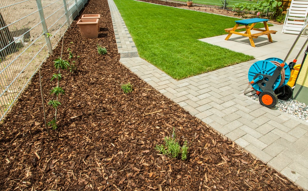 dog potty with mulch