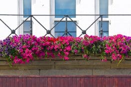 What is a Juliet Balcony and What Can I do With One? - Balcony Boss