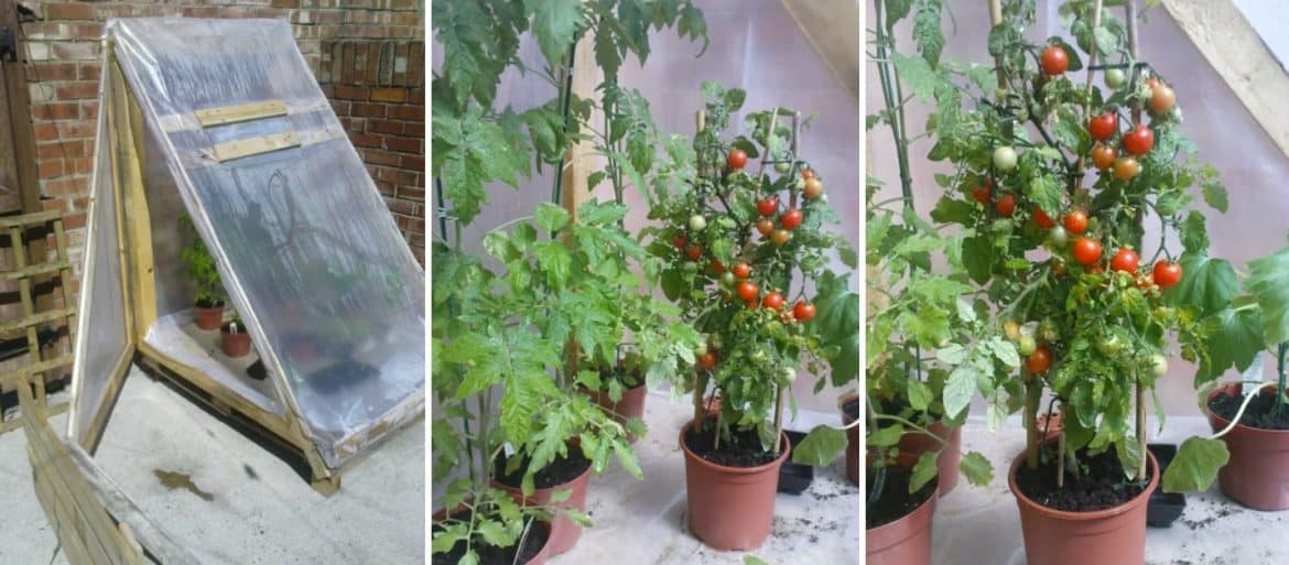 DIY Greenhouse Ideas That Will Work On a Balcony Balcony Boss