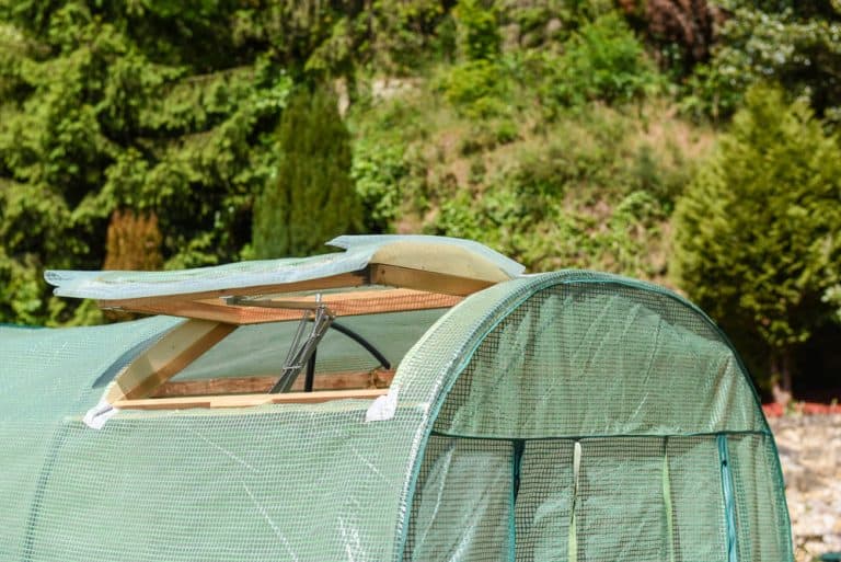 DIY Greenhouse Ideas That Will Work On a Balcony