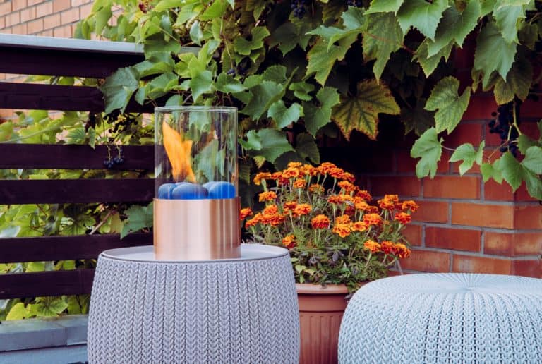 What to Plant on a Balcony in Fall? Here Are Some Ideas