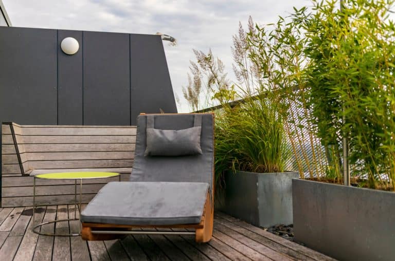 16 Best Privacy Plants for Balconies, Decks & Patios Balcony Boss