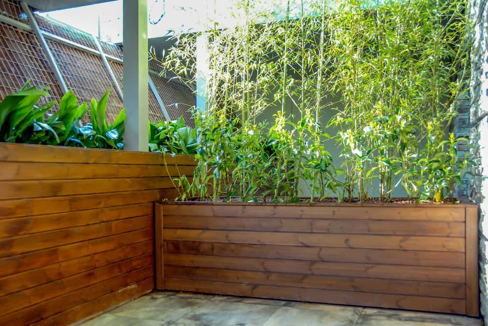 potted plants blocking the wind