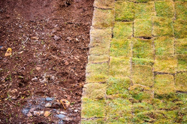 Can You Put Sod on Gravel? Yes. Here’s How
