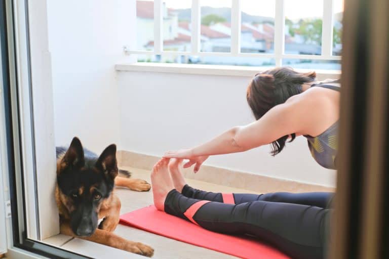 10 Balcony Gym Ideas Balcony Boss