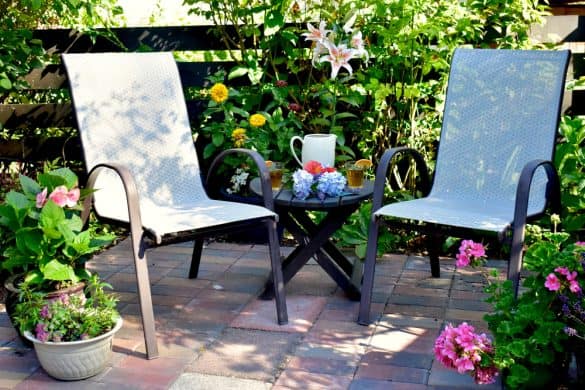 patio being shaded by plants