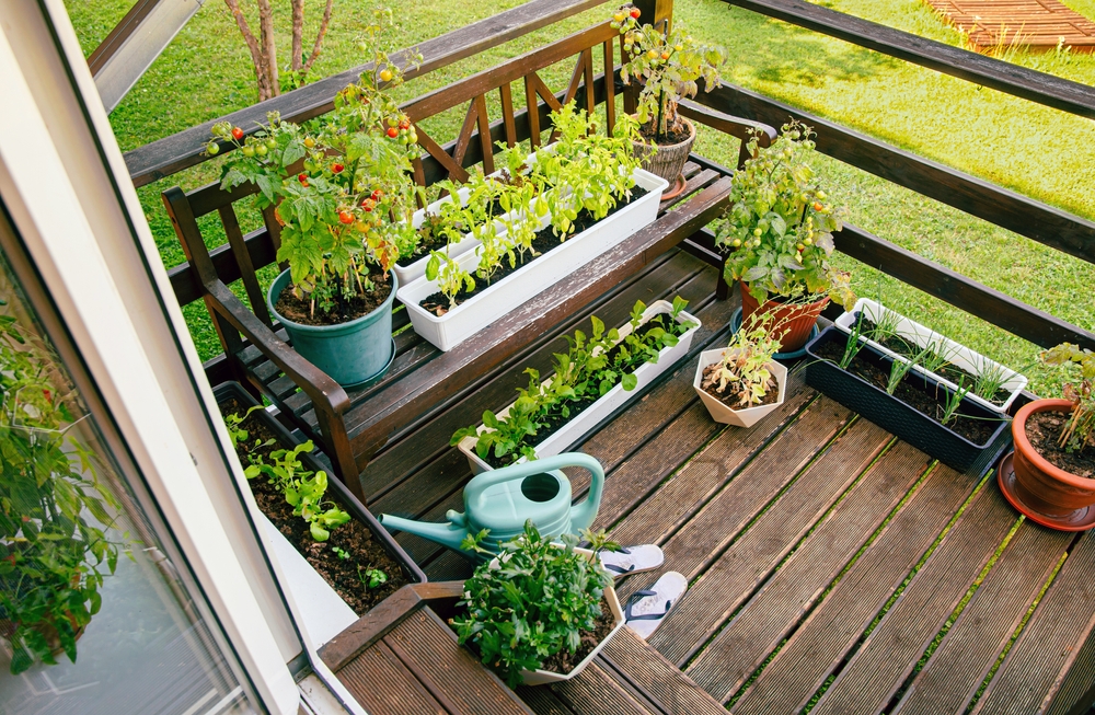 a balcony with lots of plants growing in a small space