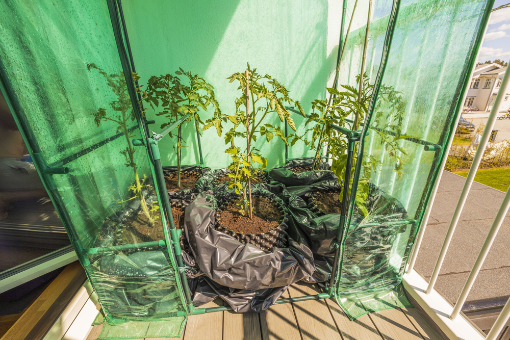 balcony greenhouse