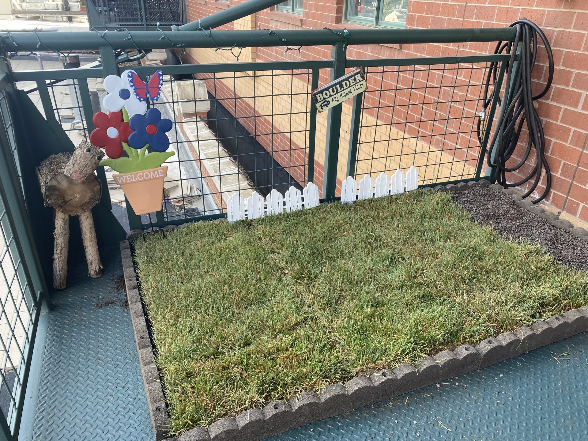 How to Grow and Maintain Real Grass on a Balcony Balcony Boss