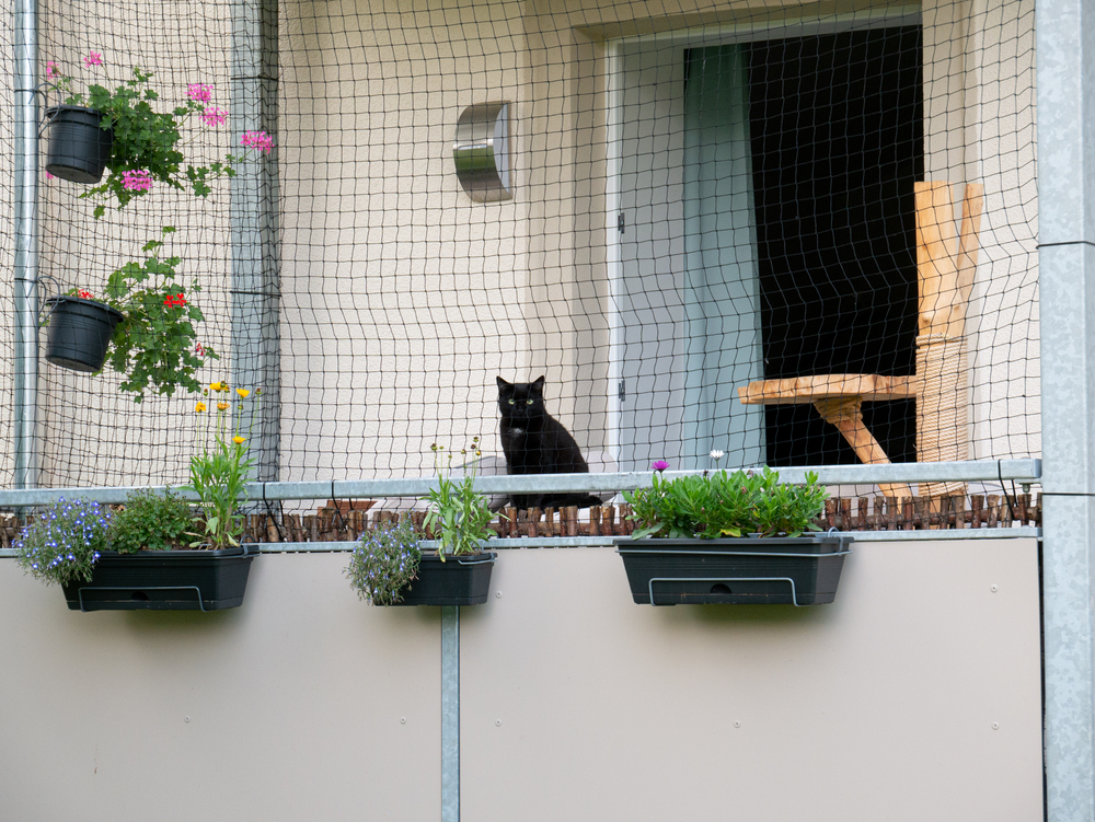 netting set up on a balcony to keep birds out