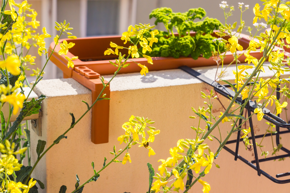 How to Clean Pollen Off Your Balcony, Patio & Furniture Balcony Boss