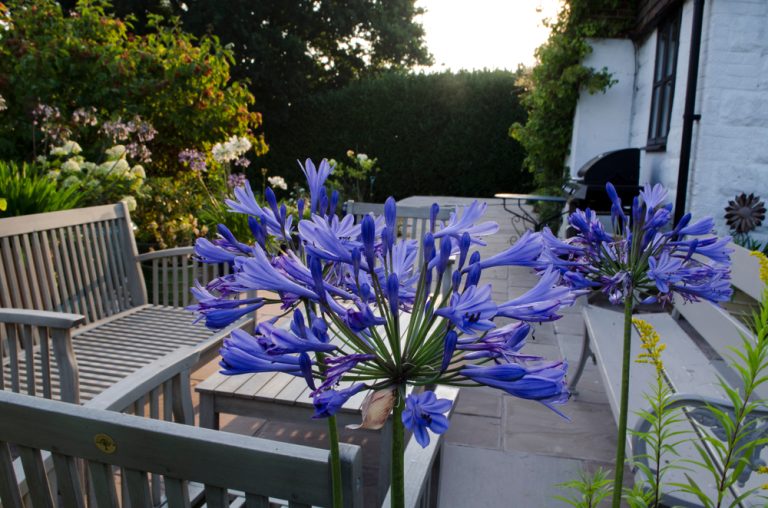 How to Clean Pollen Off Your Balcony, Patio & Furniture Balcony Boss
