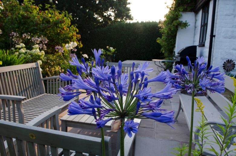 How to Clean Pollen Off Your Balcony, Patio & Furniture Balcony Boss