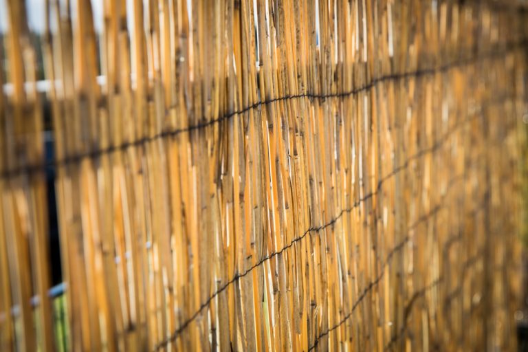 The Bamboo Fencing Buyer’s Guide Balcony Boss